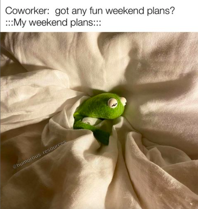 flora - Coworker got any fun weekend plans? My weekend plans humorous resources