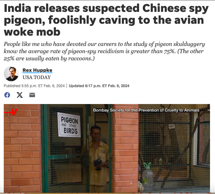 window - Chinese spy India releases suspected pigeon, foolishly caving to the avian woke mob People me who have devoted our careers to the study of pigeon skulduggery know the average rate of pigeonspy recidivism is greater than 75%. The other 25% are usu
