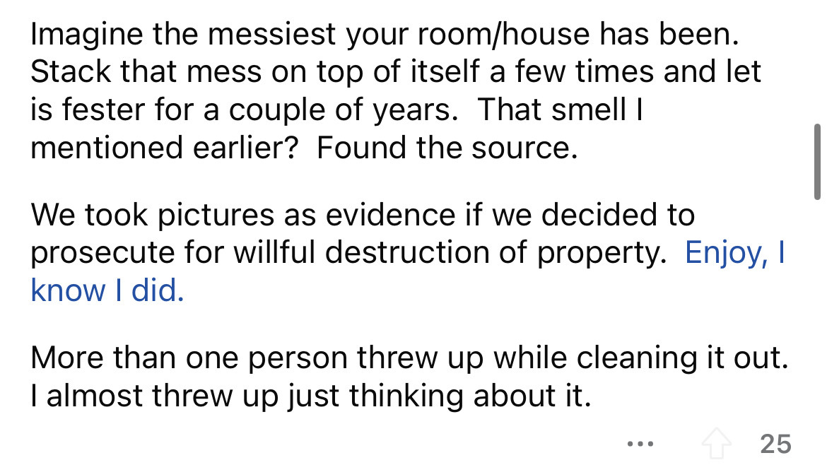 angle - Imagine the messiest your roomhouse has been. Stack that mess on top of itself a few times and let is fester for a couple of years. That smell I mentioned earlier? Found the source. We took pictures as evidence if we decided to prosecute for willf