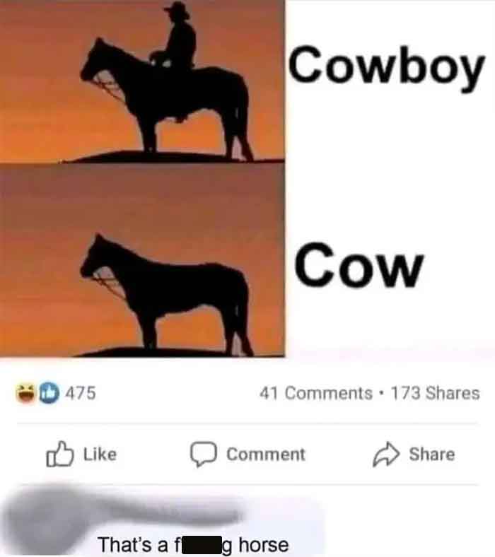 cowboy horse boy meme - 475 That's a f Cowboy Cow 41 173 g horse Comment
