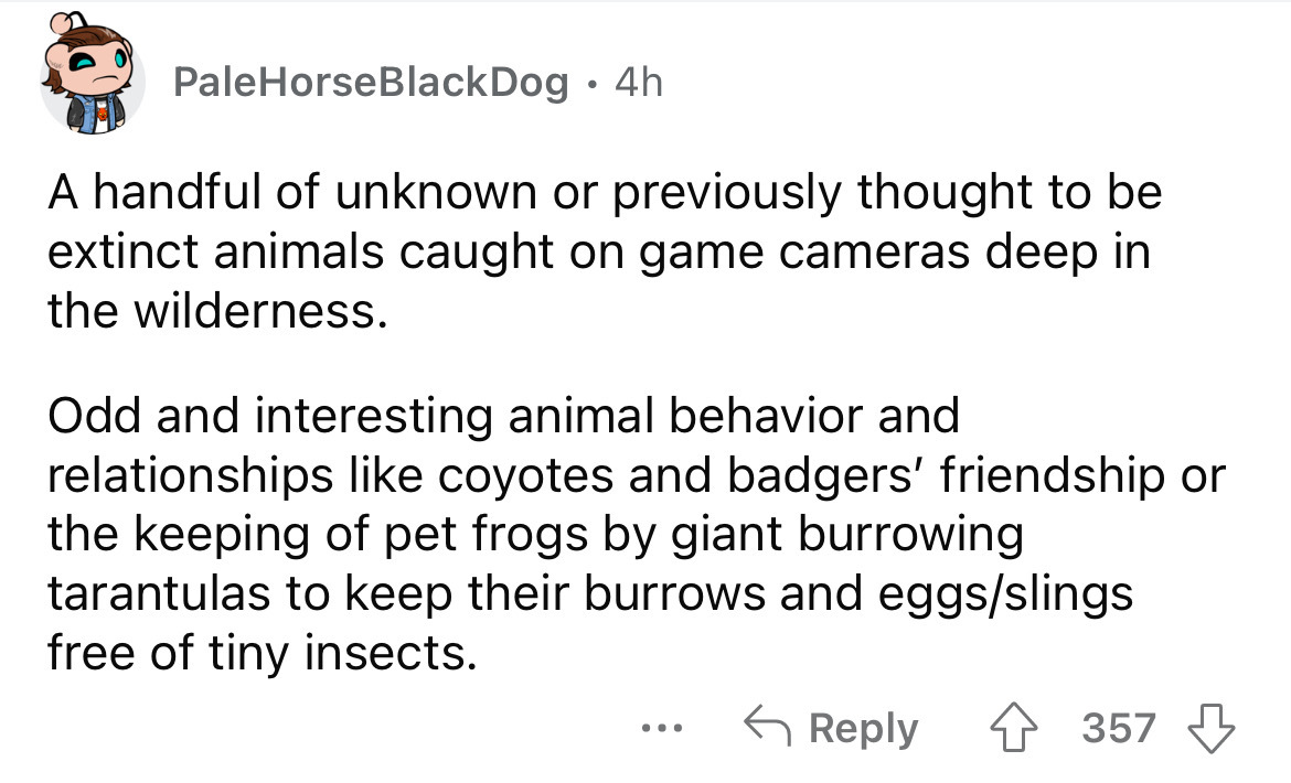 angle - Pale HorseBlackDog 4h A handful of unknown or previously thought to be extinct animals caught on game cameras deep in the wilderness. Odd and interesting animal behavior and relationships coyotes and badgers' friendship or the keeping of pet frogs