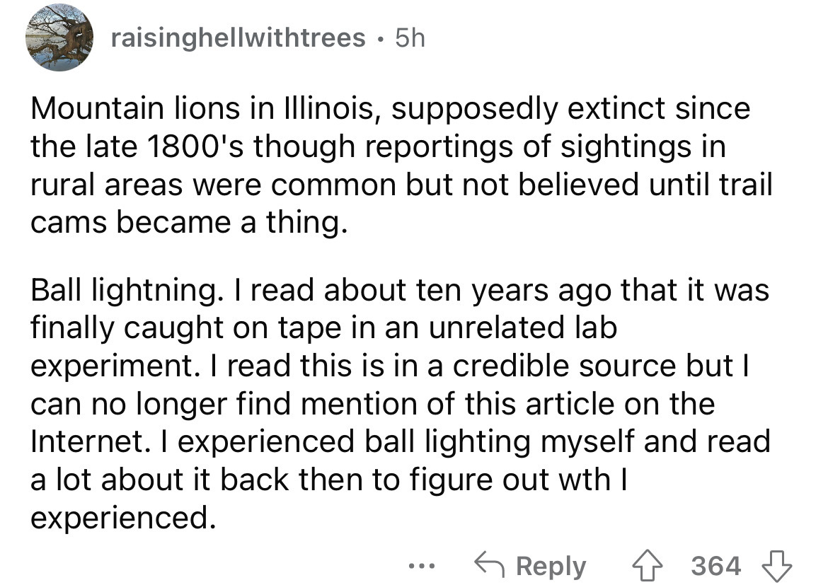 angle - raisinghellwithtrees 5h Mountain lions in Illinois, supposedly extinct since the late 1800's though reportings of sightings in rural areas were common but not believed until trail cams became a thing. Ball lightning. I read about ten years ago tha