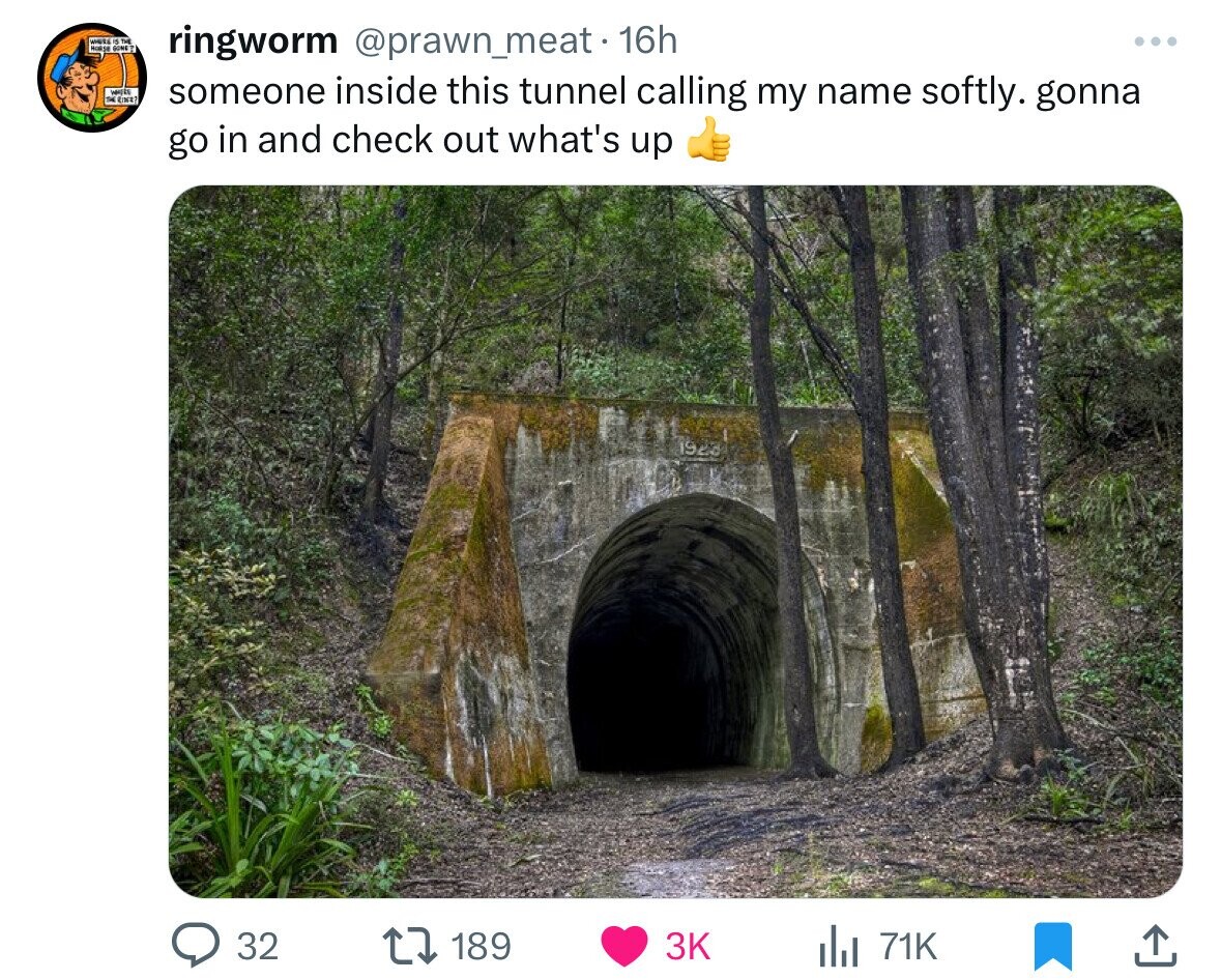 nature reserve - Hr Is The to gove Sy Ne? ringworm . 16h someone inside this tunnel calling my name softly. gonna go in and check out what's up 32 189 71K ...