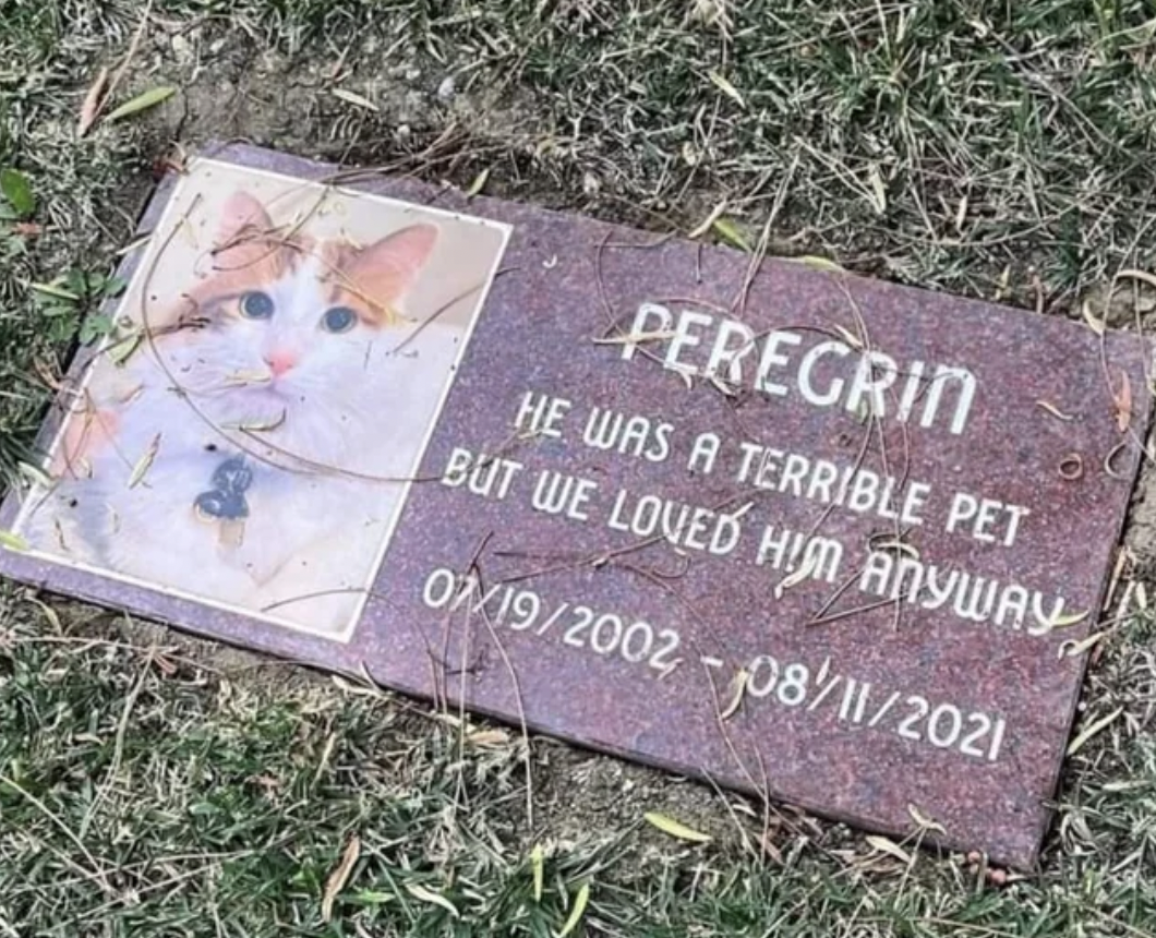 grave - Peregrin He Was A Terrible Pet But We Loved Him Anyway 07192002 08112021