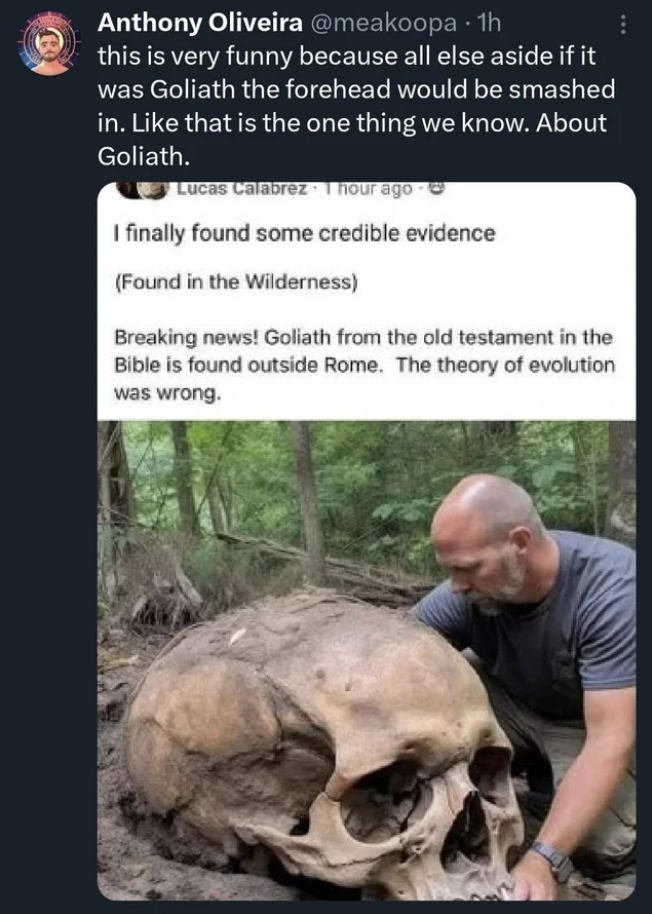 fauna - Anthony Oliveira . 1h this is very funny because all else aside if it was Goliath the forehead would be smashed in. that is the one thing we know. About Goliath. Lucas Calabrez 1 hour ago I finally found some credible evidence Found in the Wildern