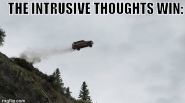 car off cliff - The Intrusive Thoughts Win imgflip.com