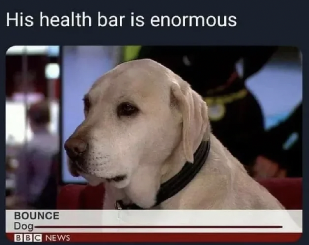 photo caption - His health bar is enormous Bounce Dog Bbc News