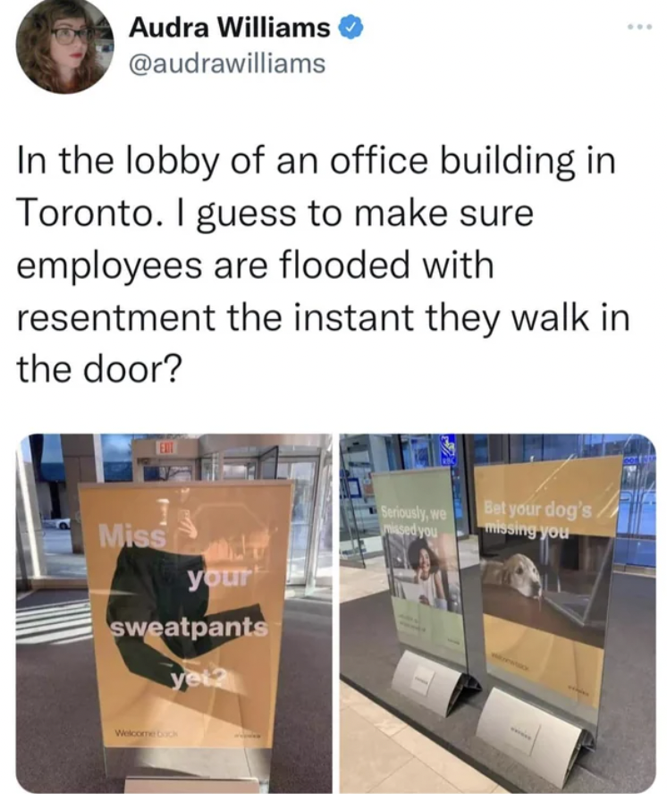 Audra Williams In the lobby of an office building in Toronto. I guess to make sure employees are flooded with resentment the instant they walk in the door? Miss your sweatpants yet? We Bet your dog's. missing you