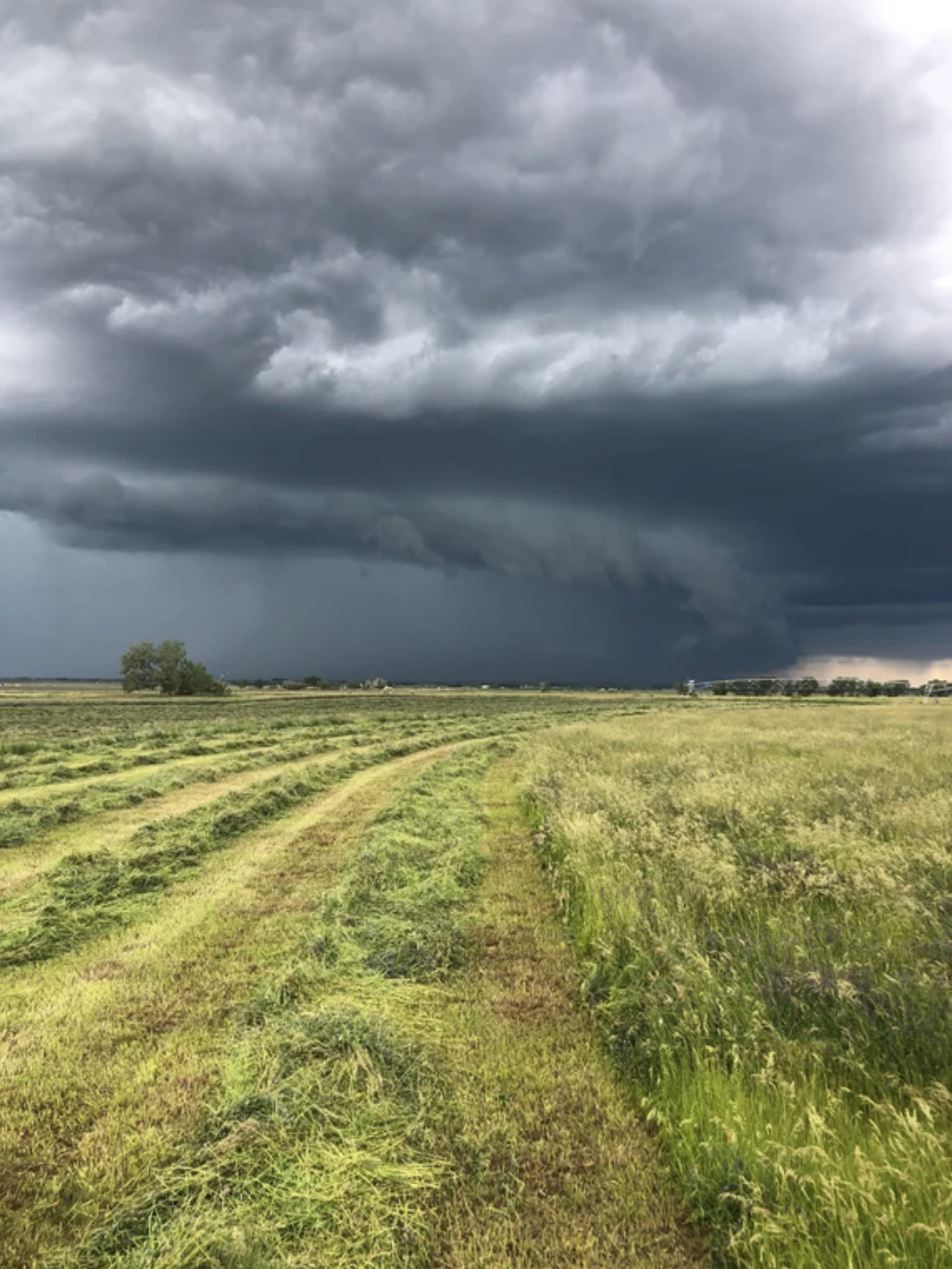 Storm just missed my hay field Alberta, Canada