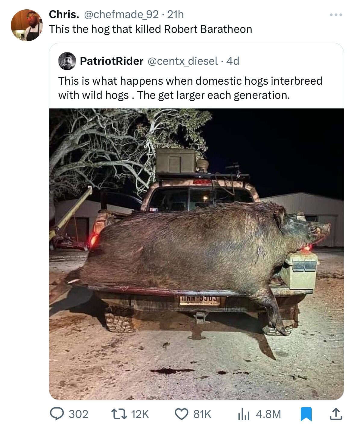 fauna - Chris. 21h This the hog that killed Robert Baratheon PatriotRider . 4d This is what happens when domestic hogs interbreed with wild hogs . The get larger each generation. Manu 81K il4.8M