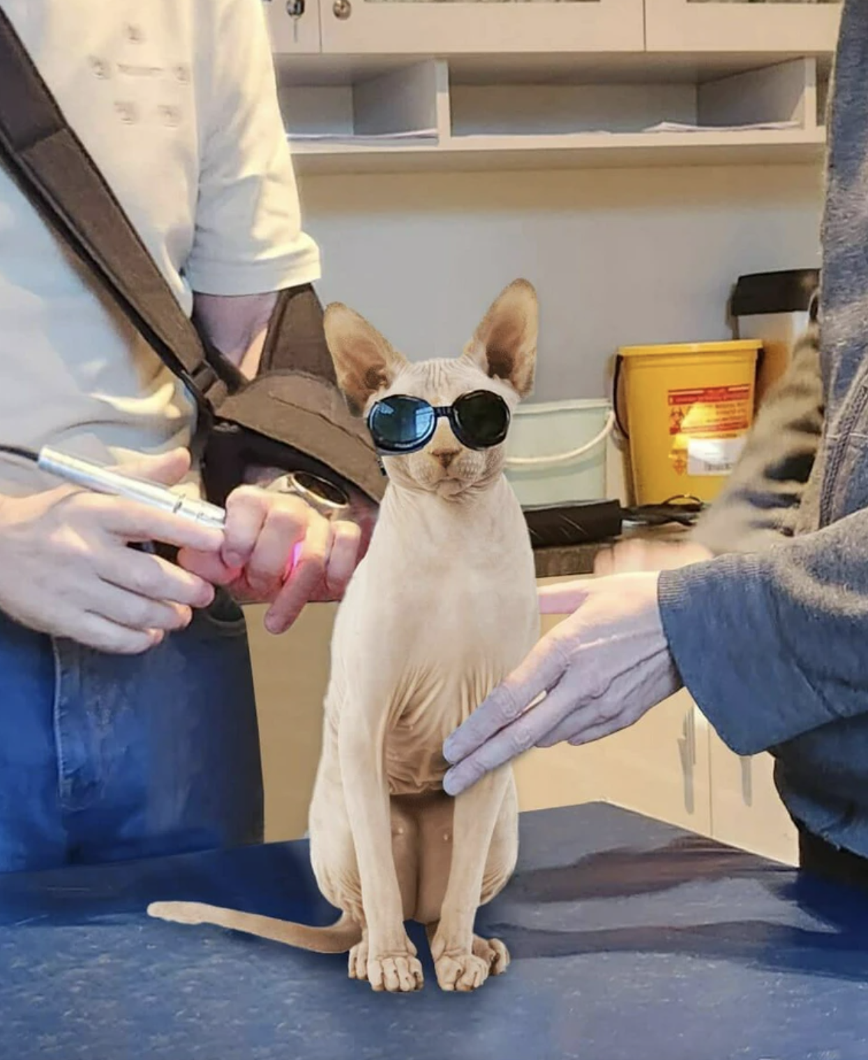 Epic Photoshop Battle of a Cat Getting Laser Treatment Yields Some Incredible Edits 