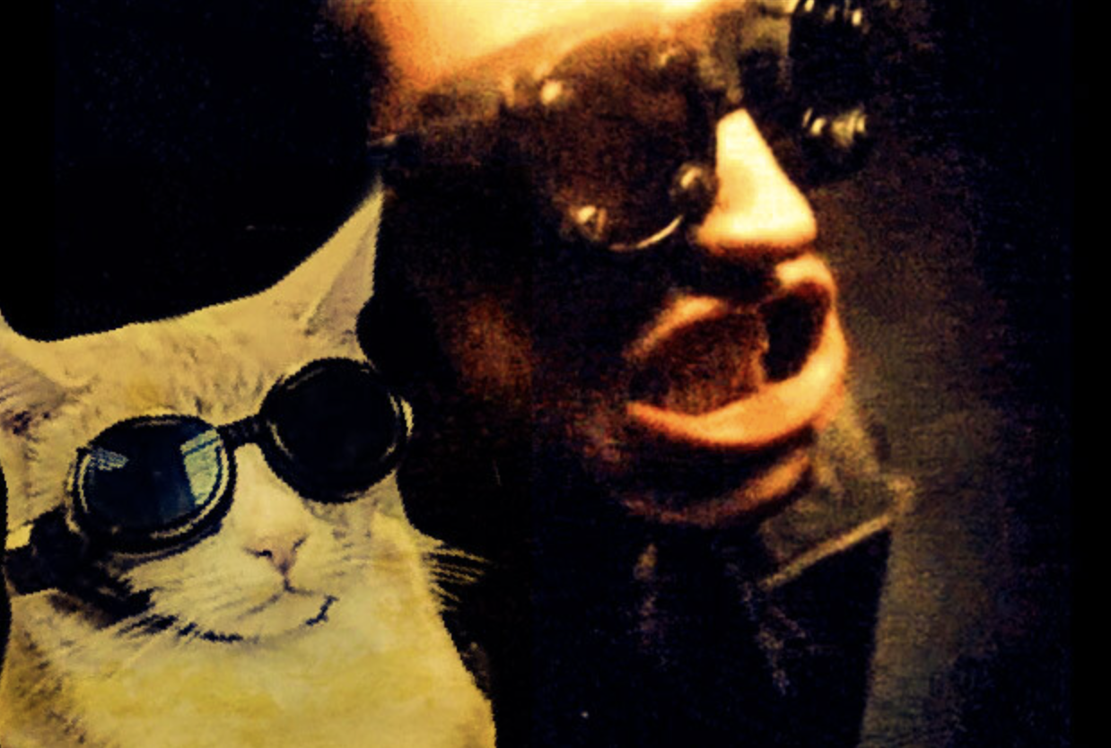 Epic Photoshop Battle of a Cat Getting Laser Treatment Yields Some Incredible Edits 