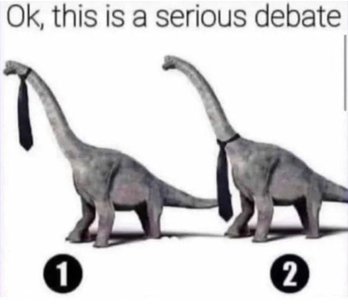ok this is a serious debate - Ok, this is a serious debate 1 2