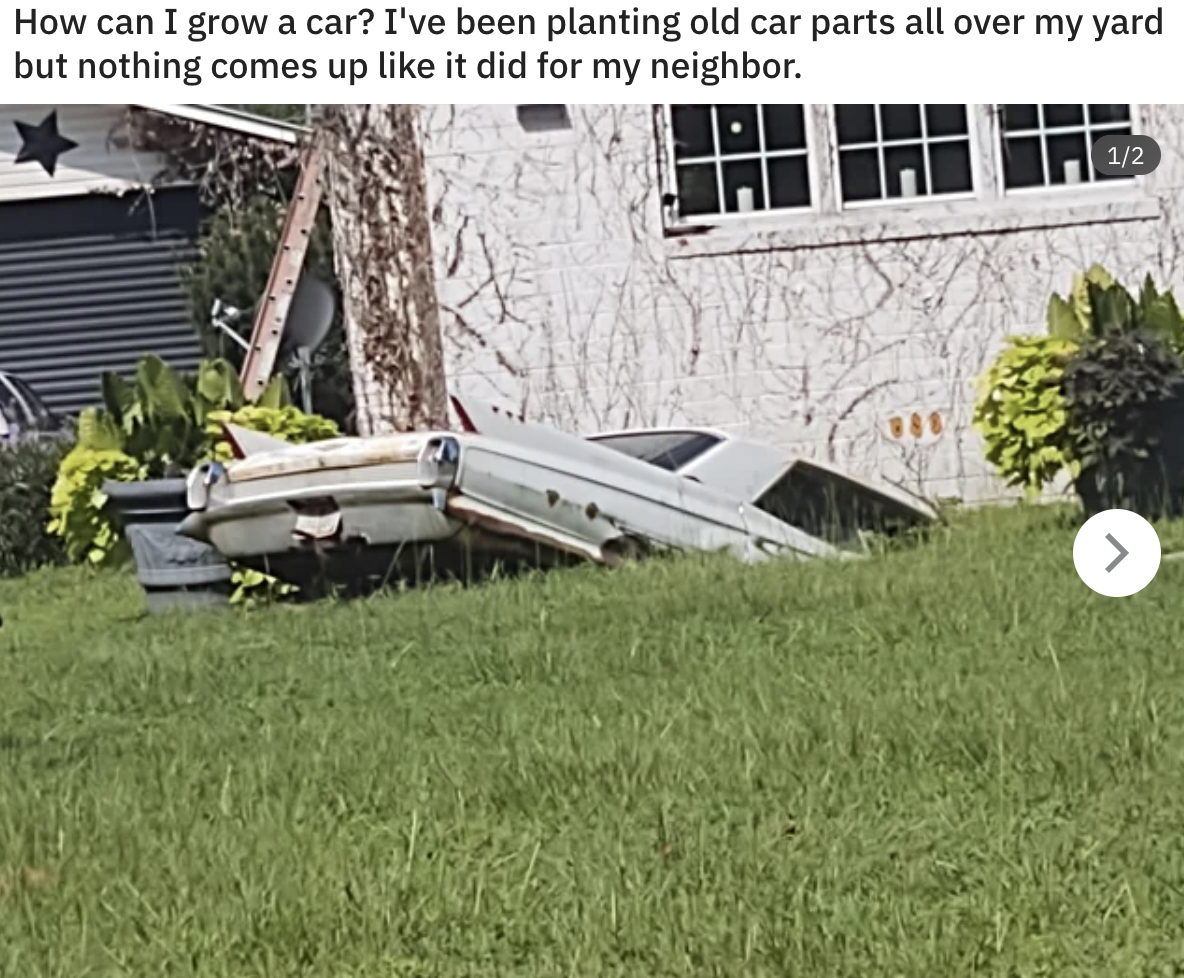 grass - How can I grow a car? I've been planting old car parts all over my yard but nothing comes up it did for my neighbor. 12 J