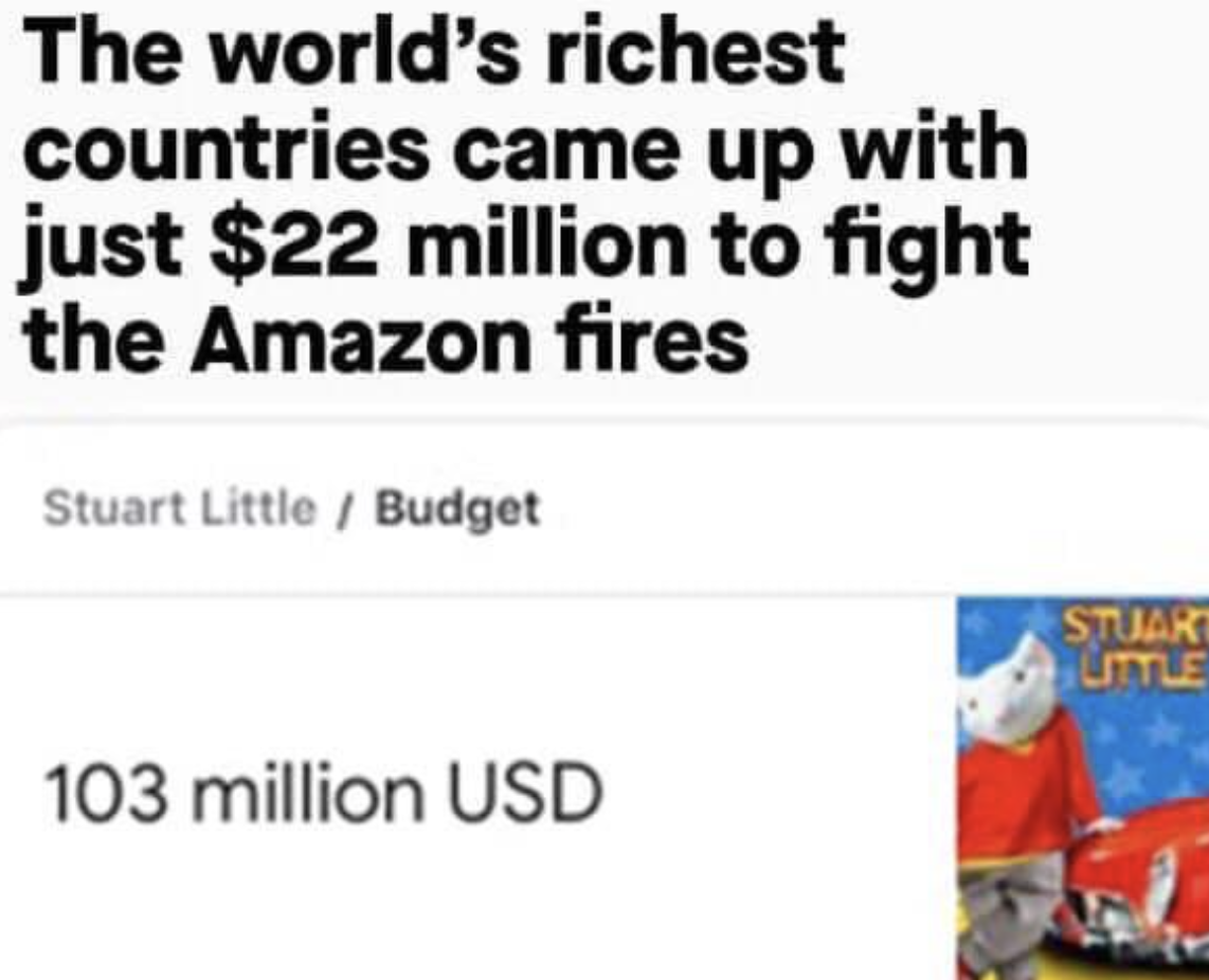 stuart little movie budget meme - The world's richest countries came up with just $22 million to fight the Amazon fires Stuart Little Budget 103 million Usd Stuart Little