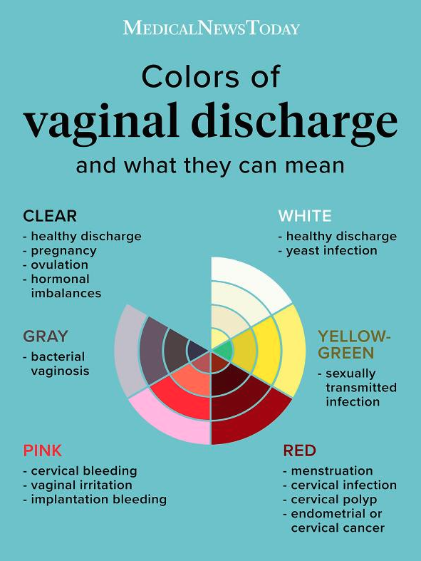 “That the vag is a self-cleaning organ and that’s why we have discharge. We don’t clean the inside, and it can actually be harmful for the ph-balance.” — u/Sufficient-Put-2928