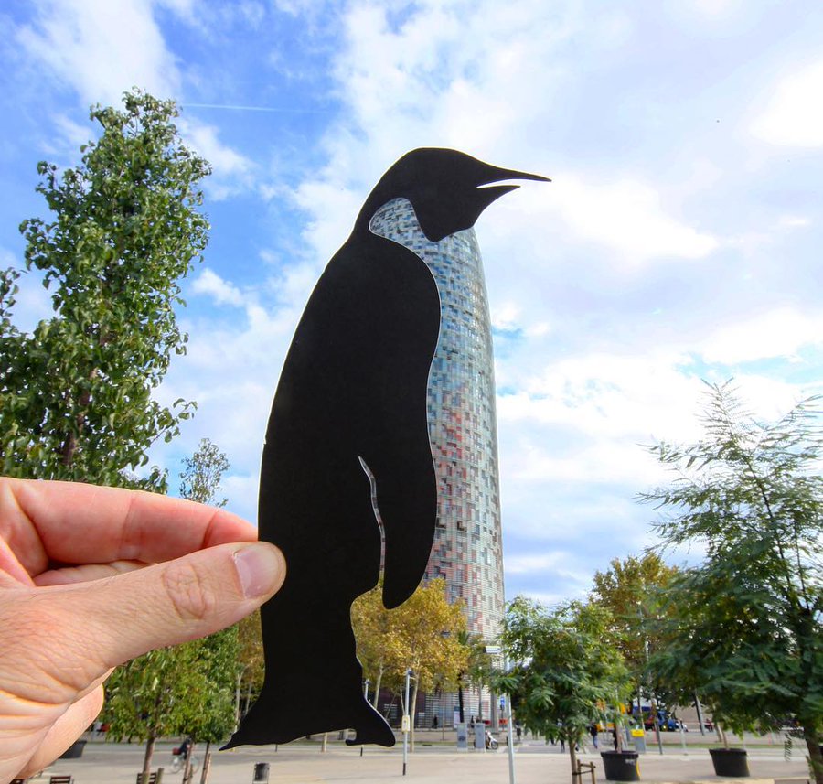 paper cut out photography