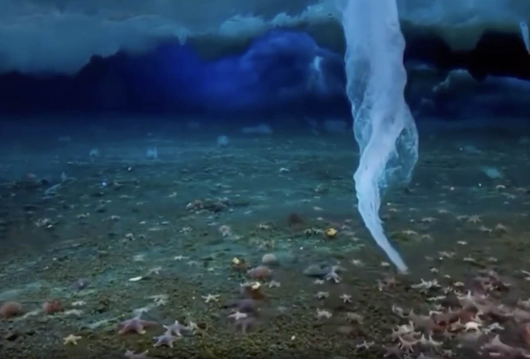 An underwater icicle, called a brinicle or “the finger of death.”