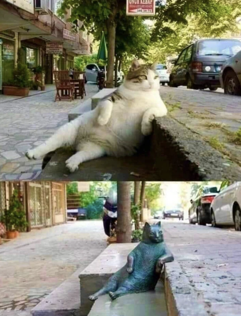 A statue in Istanbul to honor Tombili, a famous stray cat. He used to sit in this position and watch passers-by.