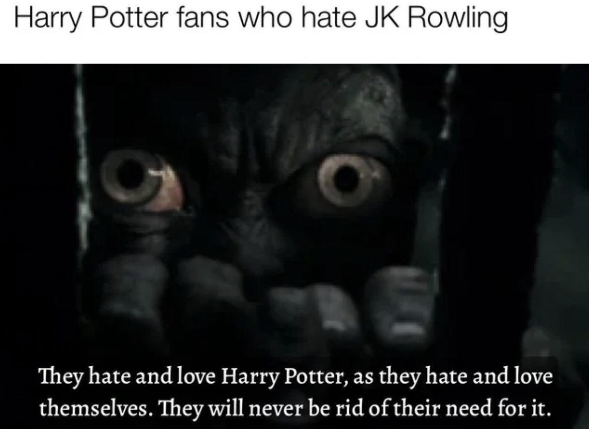 get reading - Harry Potter fans who hate Jk Rowling O They hate and love Harry Potter, as they hate and love themselves. They will never be rid of their need for it.