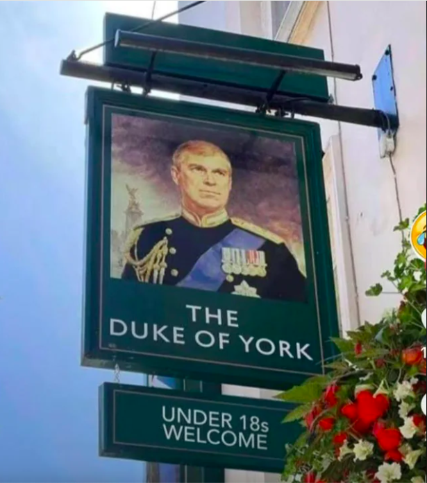 display advertising - The Duke Of York Under 18s Welcome