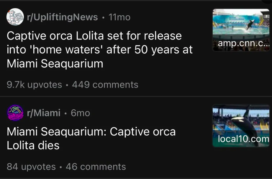 multimedia - rUpliftingNews 11mo Captive orca Lolita set for release into 'home waters' after 50 years at Miami Seaquarium upvotes 449 rMiami 6mo Miami Seaquarium Captive orca Lolita dies 84 upvotes 46 amp.cnn.c... local10.com