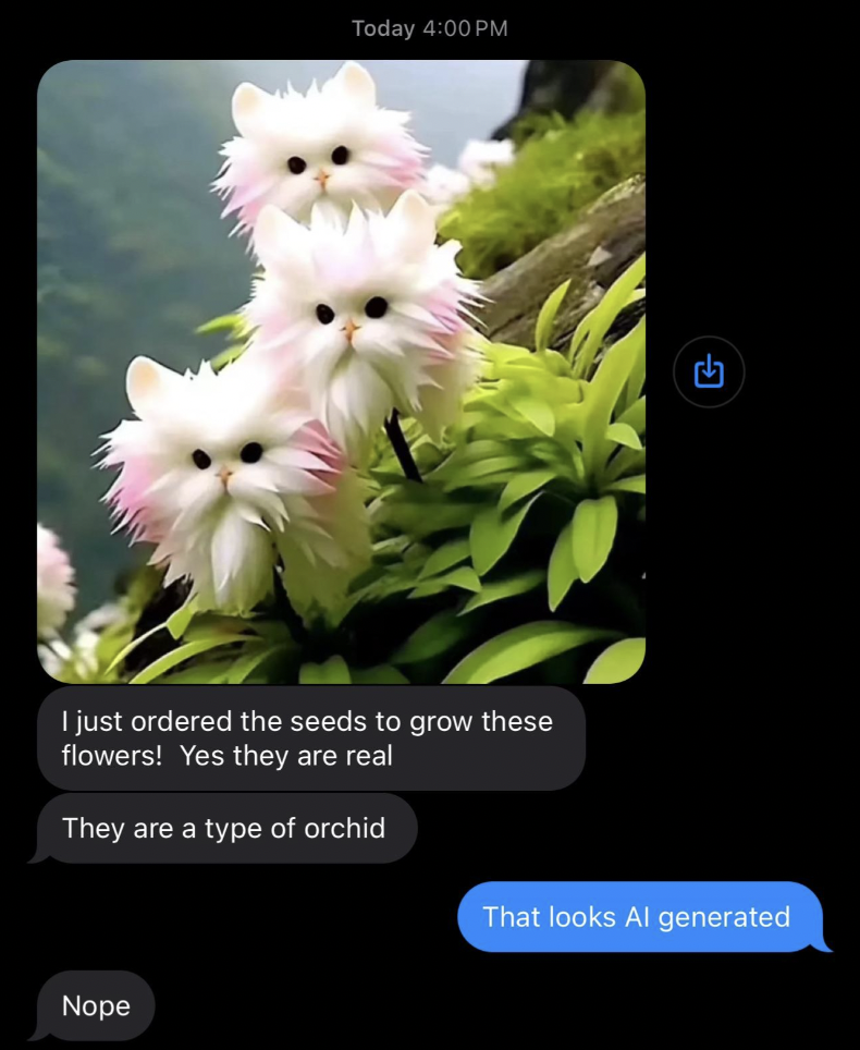 cat's eye dazzle plant - Today L I just ordered the seeds to grow these flowers! Yes they are real They are a type of orchid That looks Al generated Nope