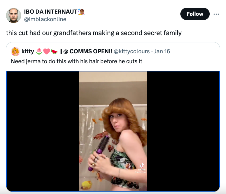 media - Ibo Da Internaut this cut had our grandfathers making a second secret family kitty || @ Comms Open!! Jan 16 Need jerma to do this with his hair before he cuts it Tik Tok t
