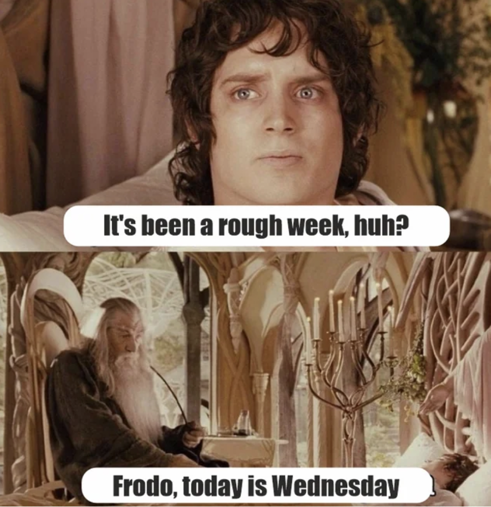 photo caption - It's been a rough week, huh? Frodo, today is Wednesday
