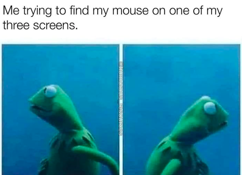 fauna - Me trying to find my mouse on one of my three screens. Sources