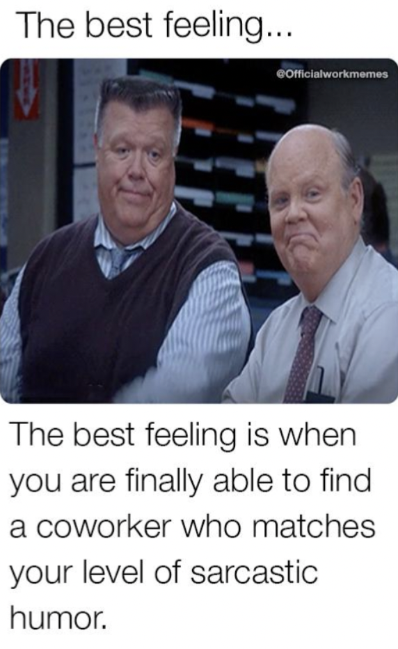 photo caption - The best feeling... The best feeling is when you are finally able to find a coworker who matches your level of sarcastic humor.