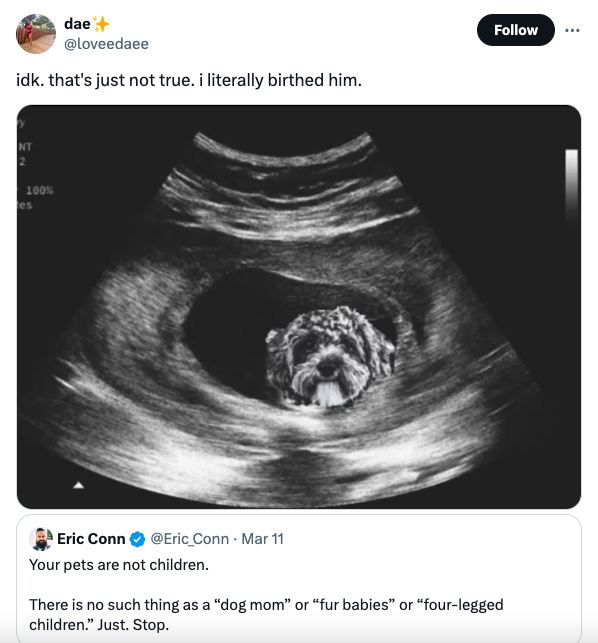 puppy dog ultrasound funny - dae idk. that's just not true. i literally birthed him. Nt 100% es Eric Conn . Mar 11 Your pets are not children. There is no such thing as a "dog mom" or "fur babies" or "fourlegged children." Just. Stop.