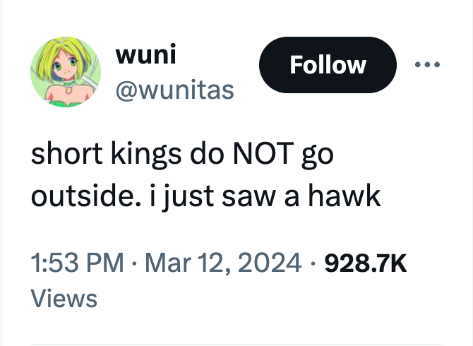 screenshot - wuni short kings do Not go outside. i just saw a hawk Views