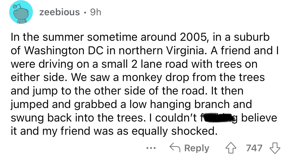 screenshot - zeebious 9h In the summer sometime around 2005, in a suburb of Washington Dc in northern Virginia. A friend and I were driving on a small 2 lane road with trees on either side. We saw a monkey drop from the trees and jump to the other side of