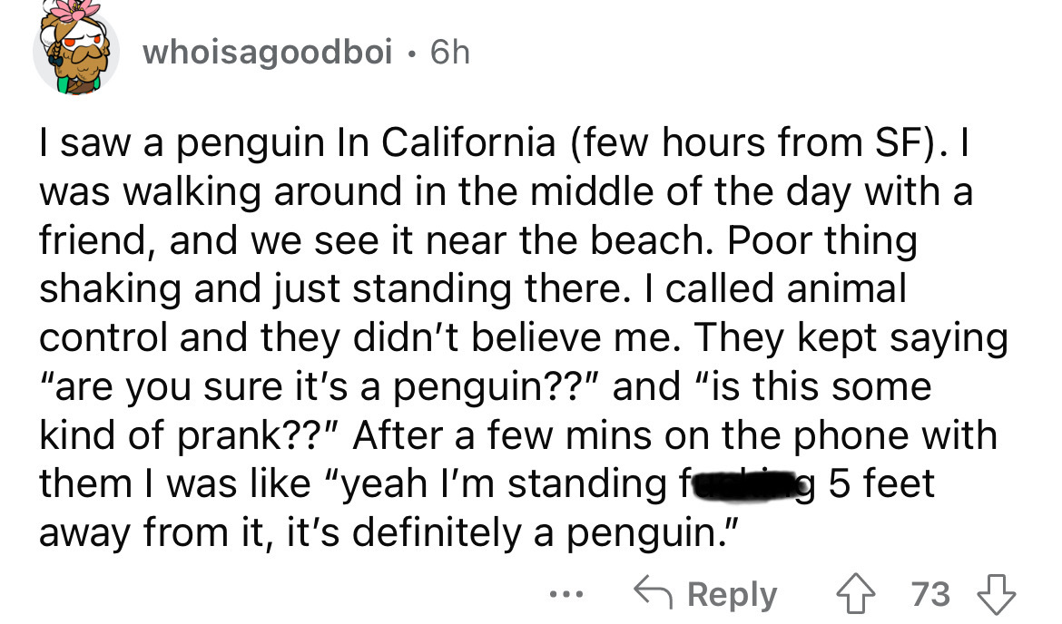 number - whoisagoodboi 6h I saw a penguin In California few hours from Sf. I was walking around in the middle of the day with a friend, and we see it near the beach. Poor thing shaking and just standing there. I called animal control and they didn't belie