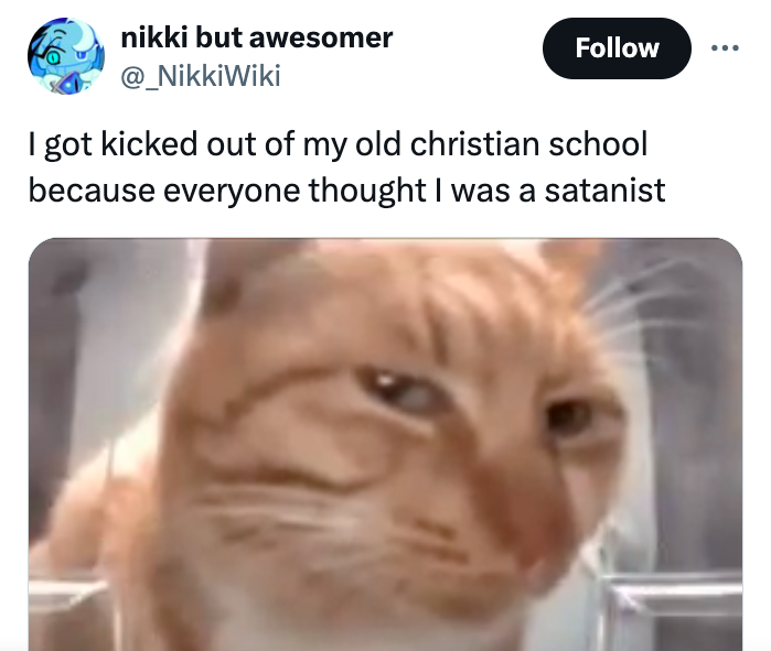 aegean cat - nikki but awesomer I got kicked out of my old christian school because everyone thought I was a satanist