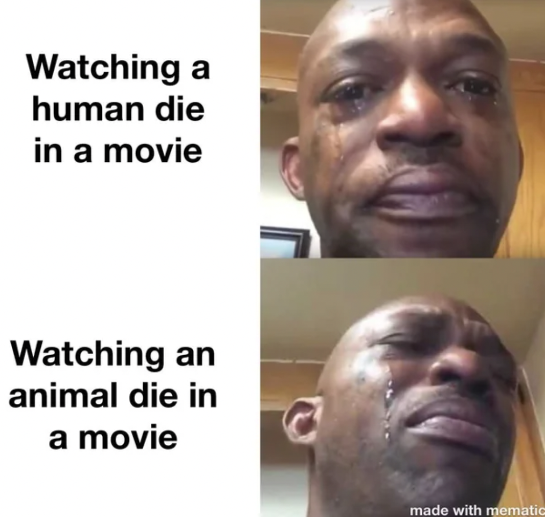photo caption - Watching a human die in a movie Watching an animal die in a movie made with mematic