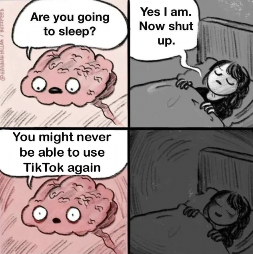 brain sleeping meme - Phannahlar Uze Are you going to sleep? Yes I am. Now shut up. You might never be able to use Tik Tok again