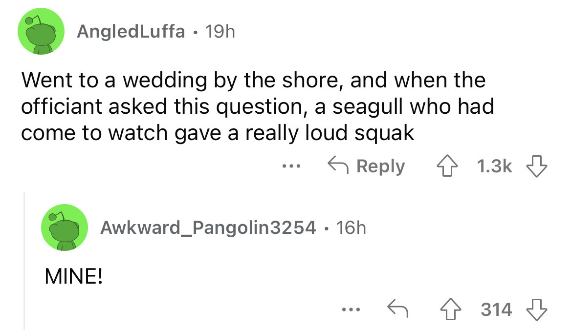 screenshot - Angled Luffa 19h Went to a wedding by the shore, and when the officiant asked this question, a seagull who had come to watch gave a really loud squak Mine! ... Awkward_Pangolin3254 16h ... 314