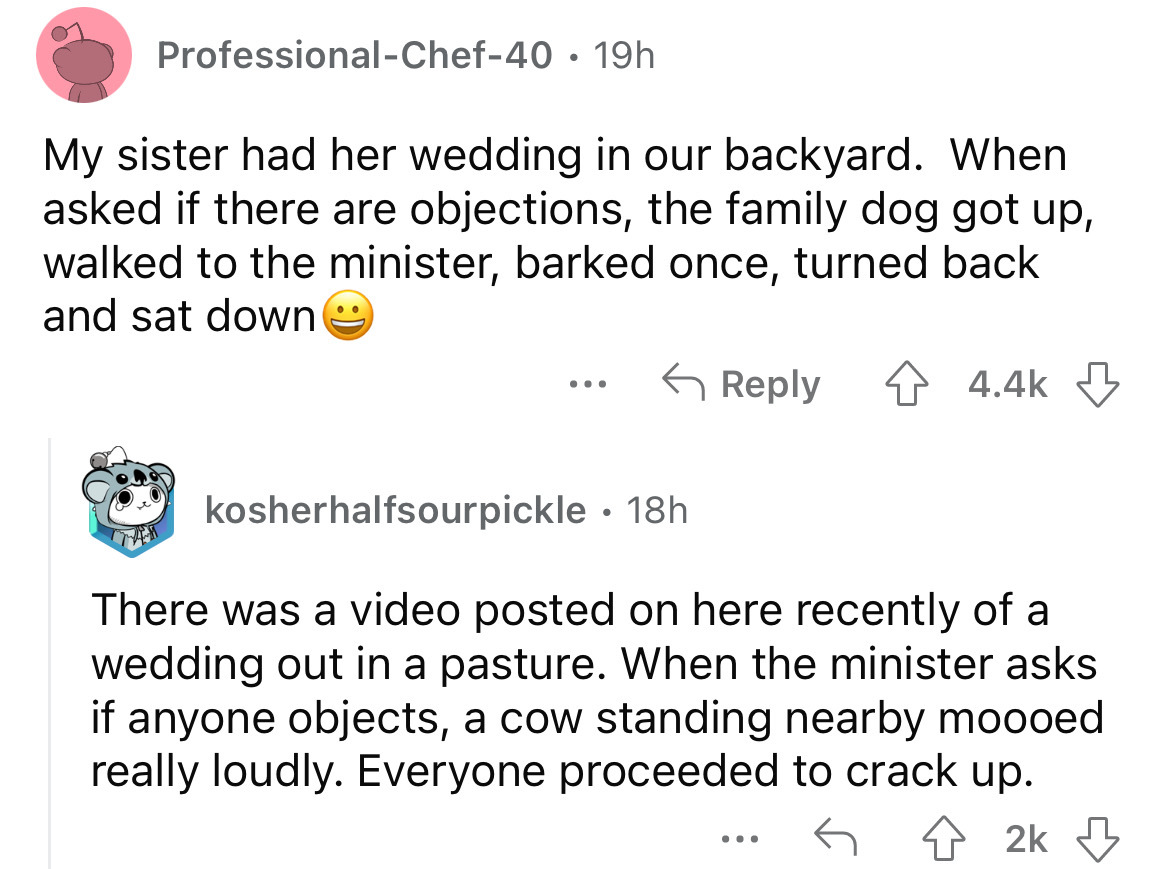 screenshot - ProfessionalChef40 19h My sister had her wedding in our backyard. When asked if there are objections, the family dog got up, walked to the minister, barked once, turned back and sat down ... kosherhalfsourpickle 18h There was a video posted o