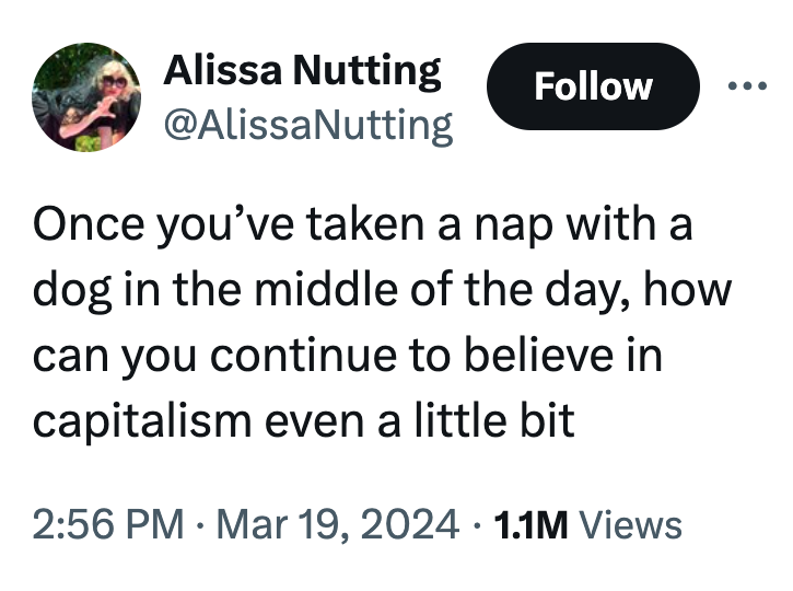 angle - Alissa Nutting Nutting Once you've taken a nap with a dog in the middle of the day, how can you continue to believe in capitalism even a little bit 1.1M Views