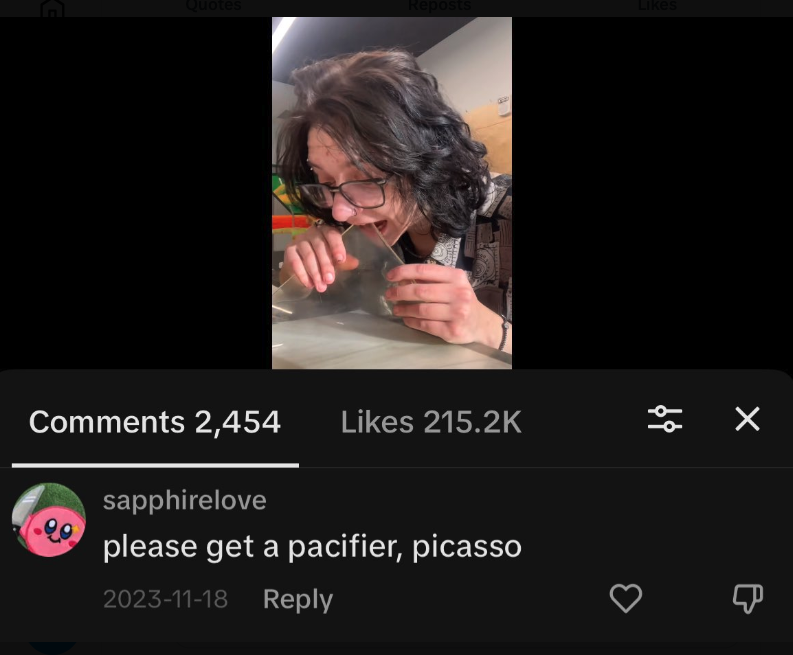 screenshot - Quotes Reposts 2,454 sapphirelove please get a pacifier, picasso