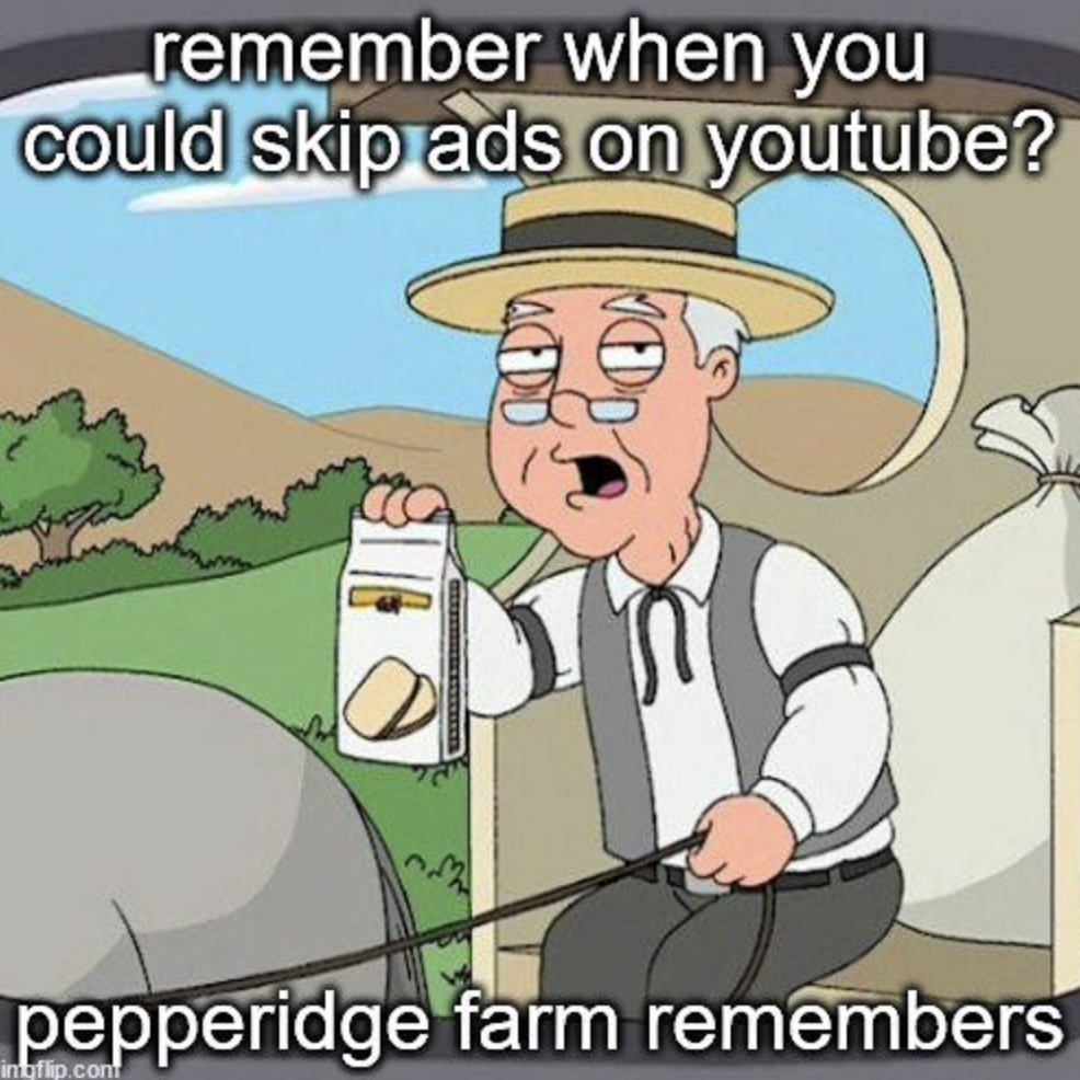 cartoon - remember when you could skip ads on youtube? pepperidge farm remembers inbflip