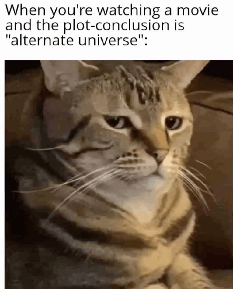 tabby cat - When you're watching a movie and the plotconclusion is "alternate universe"