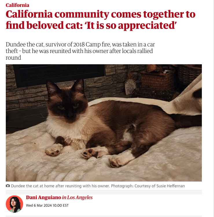 photo caption - California California community comes together to find beloved cat 'It is so appreciated' Dundee the cat, survivor of 2018 Camp fire, was taken in a car theftbut he was reunited with his owner after locals rallied round Dundee the cat at h