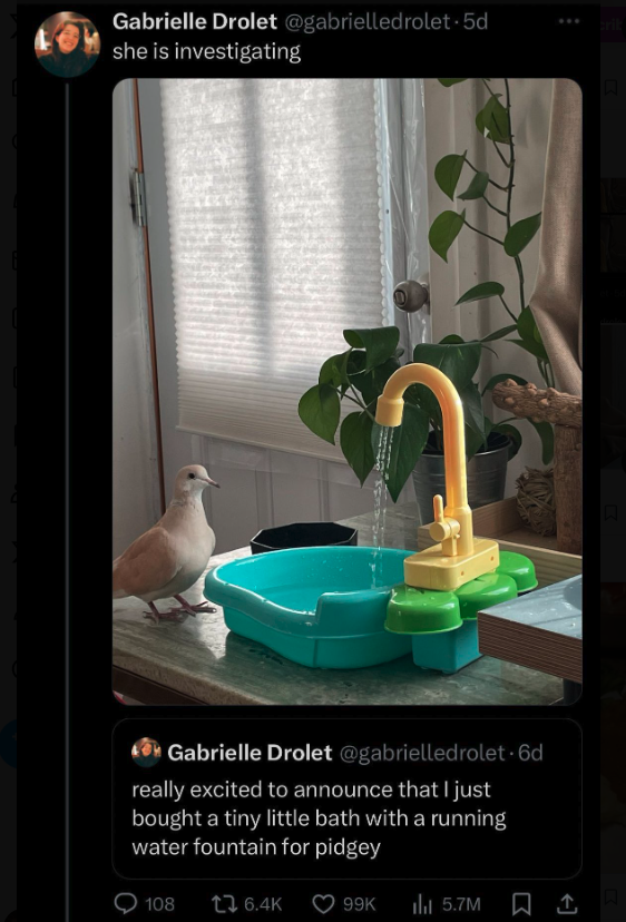 interior design - Gabrielle Drolet she is investigating Gabrielle Drolet really excited to announce that I just bought a tiny little bath with a running water fountain for pidgey 108 99K 5.7M