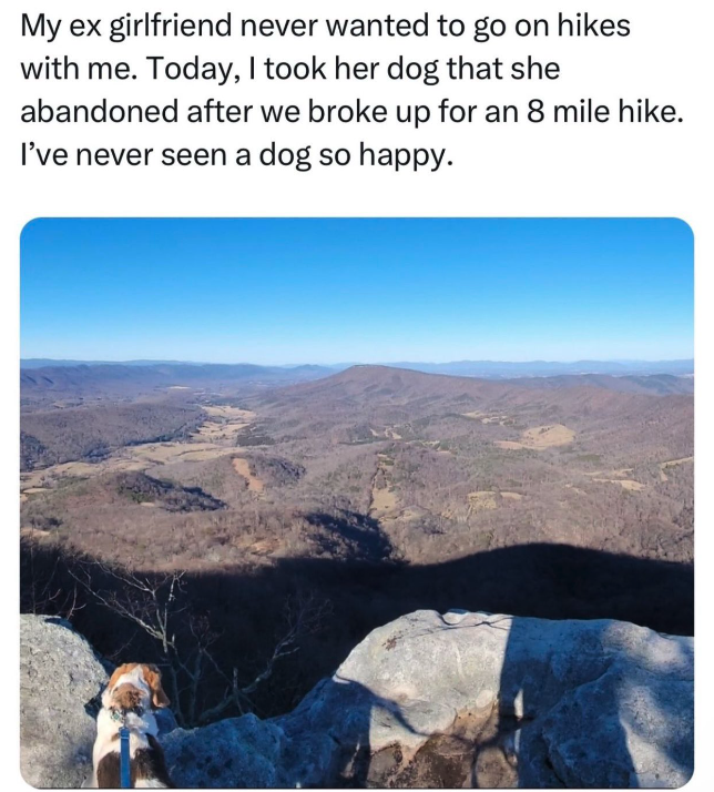 outcrop - My ex girlfriend never wanted to go on hikes with me. Today, I took her dog that she abandoned after we broke up for an 8 mile hike. I've never seen a dog so happy.