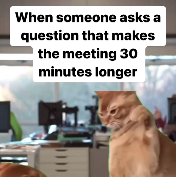 tabby cat - When someone asks a question that makes the meeting 30 minutes longer