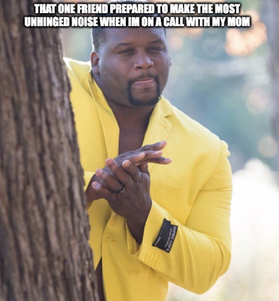 gimme some meme - That One Friend Prepared To Make The Most Unhinged Noise When Im On A Call With My Mom