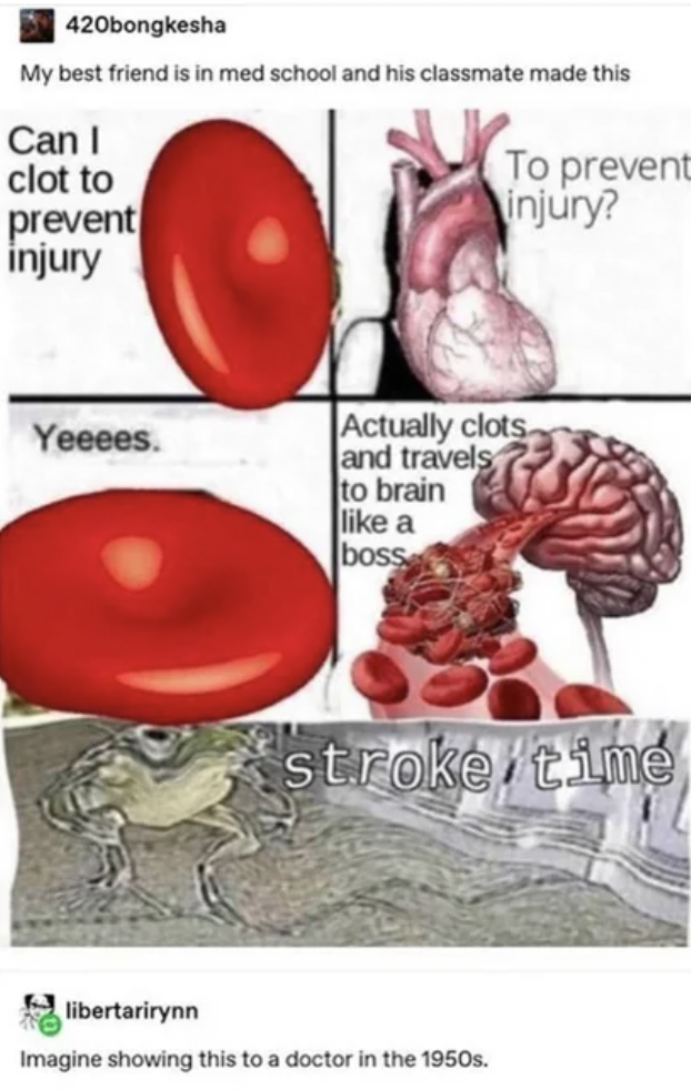 medical brain memes - 420bongkesha My best friend is in med school and his classmate made this Can I clot to prevent injury To prevent injury? Yeeees. Actually clots and travels to brain a boss stroke time libertarirynn Imagine showing this to a doctor in